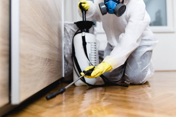 Best Affordable Pest Control Services  in Cotati, CA